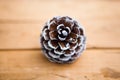 One bleached pine cone on the wooden background