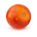 One bloody red orange on a white background. Royalty Free Stock Photo