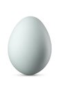 One blue chicken egg isolated on white background Royalty Free Stock Photo