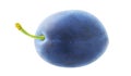 One blue plum fruit isolated on white Royalty Free Stock Photo