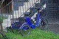 One blue three-wheeled electric bike stands in green grass Royalty Free Stock Photo