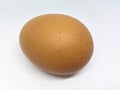 One boiled egg is brown. isolated on white Royalty Free Stock Photo