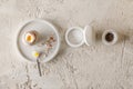 One boiled egg in stoneware egg cup with egg shell broken pieces in concrete tray, salt flakes and pepper Royalty Free Stock Photo