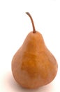 One bosc pear Royalty Free Stock Photo