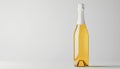 One bottle of champagne highlighted on white Royalty Free Stock Photo