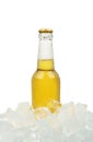 One bottle of cold lager beer on ice cubes Royalty Free Stock Photo