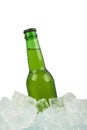 One bottle of cold lager beer on ice cubes Royalty Free Stock Photo