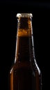 One bottle of fresh beer with drops on black Royalty Free Stock Photo