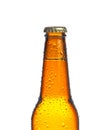 One bottle of fresh beer with drops, isolated Royalty Free Stock Photo