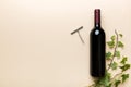 One Bottle of red wine with corkscrew on colored table. Flat lay, top view wth copy space Royalty Free Stock Photo