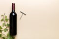 One Bottle of red wine with corkscrew on colored table. Flat lay, top view wth copy space Royalty Free Stock Photo