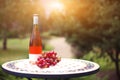One bottle of rose wine in autumn vineyard on marble table Royalty Free Stock Photo