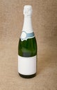 One bottle of sparkling wine Royalty Free Stock Photo