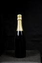 One bottle sparkling wine Royalty Free Stock Photo