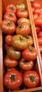 One box big tomatoes vegetable so awesom