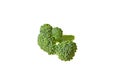 One branch of fresh green broccoli isolated on white background without shadow Royalty Free Stock Photo