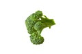 One branch of fresh green broccoli isolated on white background without shadow Royalty Free Stock Photo