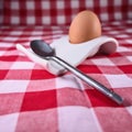 one egg and spoon Royalty Free Stock Photo