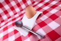 one egg and spoon Royalty Free Stock Photo