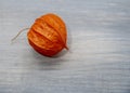One fruit of physalis on a delicate wooden background Royalty Free Stock Photo
