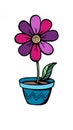 One bright pink purple flower with 8 petals in a flower pot