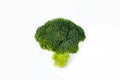 One broccoli branch on white background.
