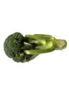 One broccoli isolated on white background Royalty Free Stock Photo