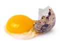 One broken raw quail egg with yolk isolated on white background Royalty Free Stock Photo