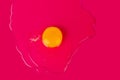 One broken white raw egg, yellow round yolk on pink or red background isolated close up top view Royalty Free Stock Photo