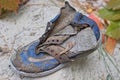 one brown blue old torn leather shoe lies on the gray sand Royalty Free Stock Photo