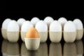One brown egg in front of white eggs 2 Royalty Free Stock Photo