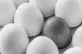 One brown egg in the middle of the white eggs Royalty Free Stock Photo