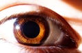 One Brown Human Eye Royalty Free Stock Photo