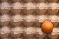 One brown unbroken chicken egg in a cardboard box