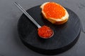 One bruschetta with butter and red caviar next to a spoon with caviar on a wooden board on a concrete background. Royalty Free Stock Photo