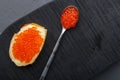 One bruschetta with butter and red caviar next to a spoon with caviar on a wooden board on a concrete background Royalty Free Stock Photo