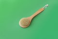 one brush made of natural cactus shield