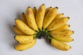 One bunch of bananas. Isolated on white Royalty Free Stock Photo