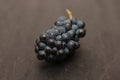 One bunch of freshly picked black grapes on a dark wooden surface Royalty Free Stock Photo