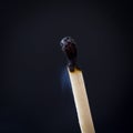 one burned match on a black background isolate
