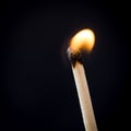 one burning match on a black background isolate Royalty Free Stock Photo