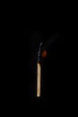 One burning match on a black background Royalty Free Stock Photo