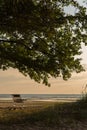 One camping chair stands empty on the ocean shore under the crown of a broad deciduous tree in summer