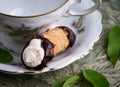 One Cannoli, Creamy Sweet Italian Dessert Pastry Royalty Free Stock Photo