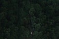 One car drives along the road through a green forest. Aerial view from drone Royalty Free Stock Photo