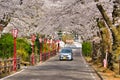 One car was running in the Sakurazaka tunnel at Dake Onsen in the morning, full of cherry blossoms Royalty Free Stock Photo
