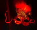 one carnival Venetian red mask on a black background. the Brazilian carnival is a celebration of masks and dancing. Royalty Free Stock Photo