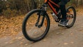 One caucasian children rides bike road in autumn park. Little girl riding black orange cycle in forest. Kid goes do Royalty Free Stock Photo