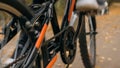 One caucasian children rides bike road in autumn park. Little girl riding black orange cycle in forest. Kid goes do Royalty Free Stock Photo