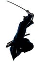 Man laido Katori Shinto ryu isolated shadow silhouette white background Royalty Free Stock Photo